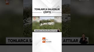 Antalya'da tonlarca salatalığı boş araziye döküp kaçtılar #atvhaber  #shorts #an