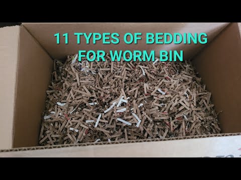 11 Types of Bedding For Worm Bin | Worm Farming Beginners Guide