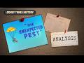 When A Mouse Catcher Becomes The Caught The Unexpected Pest 1956 Looney Tunes Review