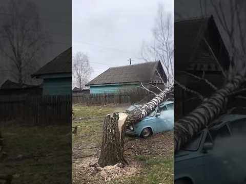 Отомстил соседу