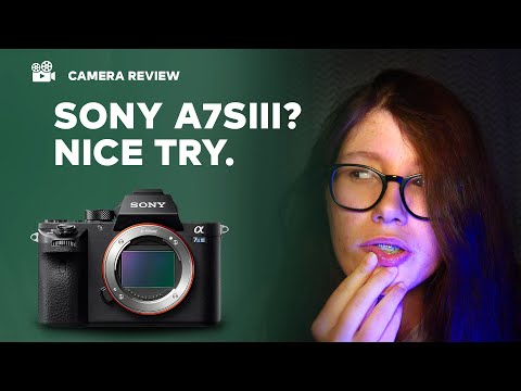Sony Alpha A7S III vs Sony A7sii, Canon R5, GH5s, BMPCC