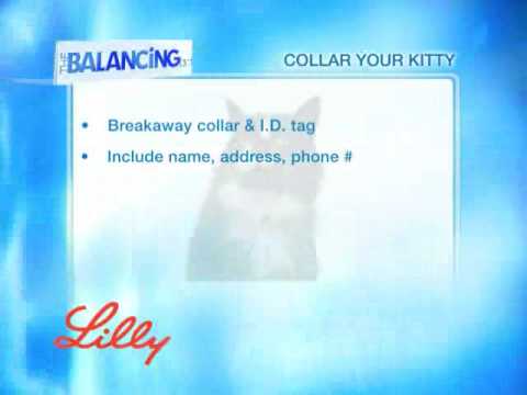 The Balancing Act Show 1157 - Lilly Companion