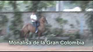 preview picture of video 'Monalisa de la Gran Colombia'