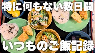 【日常Vlog】特に何もない数日間｜いつものご飯を作って食べる日々