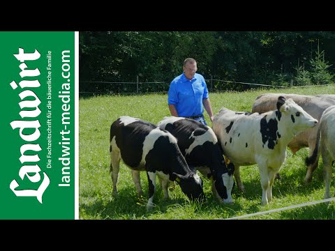 Tipps für den richtigen Umgang mit Rindern | landwirt-media.com