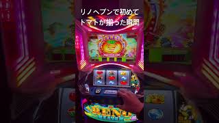 2026年1月17日