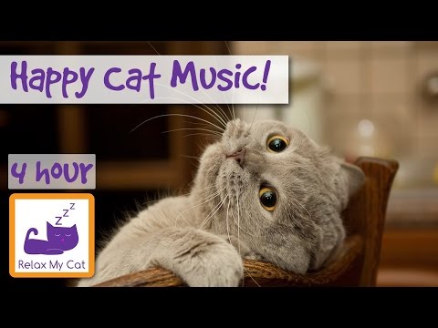 Compilation of Cat Music! Music for Stress, Anxiety, Sleep and to Soothe! Make Your Cat Happy Today!