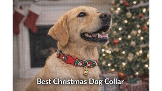 🎄 Babole Pet Christmas Dog Collar for Small Dogs Review: Is It Comfortable for Your Dog? 🐾