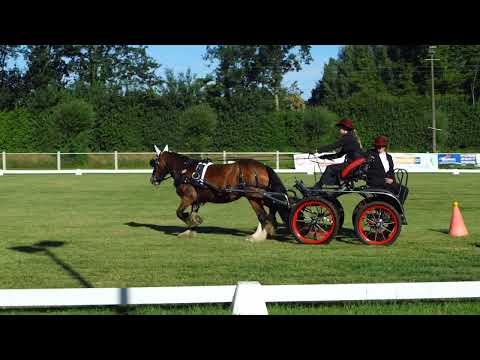 Fahrturnier Dörenthe 12.6.2022