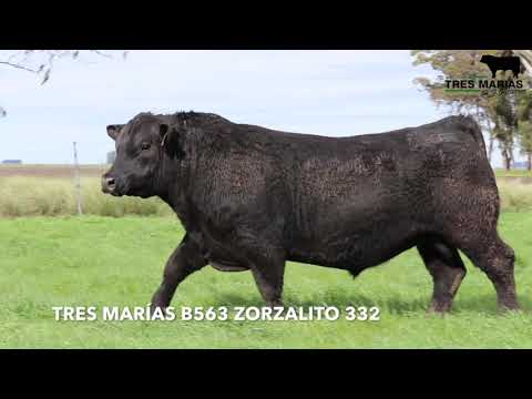 Tres Marias B563