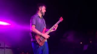 311 - Nutsymptom - Charlotte