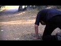 Dayseeker - The Quiet Disconnect (Official Music ...