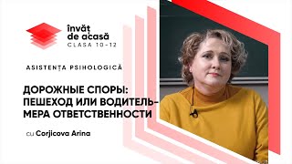 "ДОРОЖНЫЕ СПОРЫ. ПЕШЕХОД ИЛИ ВОДИТЕЛЬ. МЕРА ОТВЕТСТВЕННОСТИ"