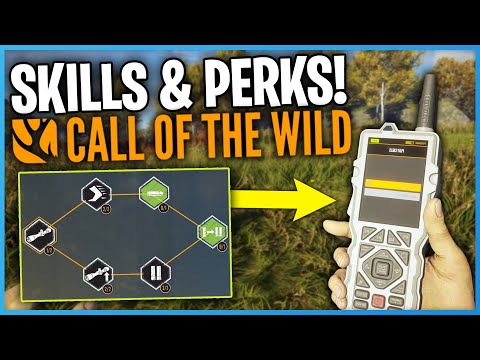 Best Skills & Perks Setup For Beginners 2025! | theHunter Call Of The Wild