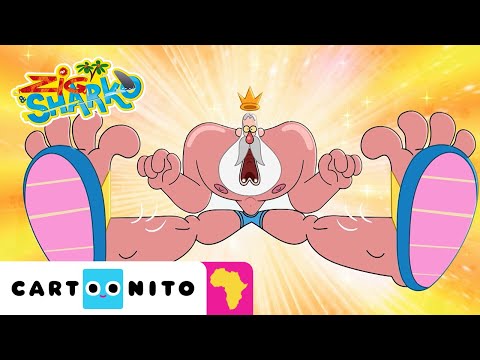 Dad and the Magic Slides | Zig & Sharko | Cartoonito Africa