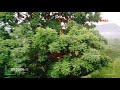 Nature Love Amazing View Created By PRaFuL