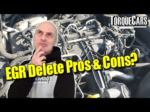 EGR Delete? Pros & Cons of EGR Off vs On? Benefits & Drawbacks With & Without EGR