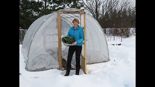 Grow a Winter Garden: Everyone Can Grow a Garden (2019) #25