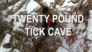 Twenty Pound Tick Cave