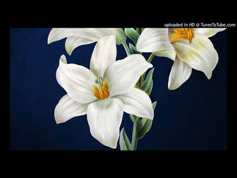 18. Dele TDJ...Lirio Blanco - Francisco Canaro - Ernesto Famá - 06-07-1934