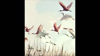 Alexandre Desplat - The Resurrection Stone