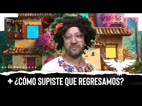 ¿CÓMO SUPISTE QUE REGRESAMOS? - EL PULSO DE LA REPÚBLICA