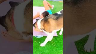 This Workout Didn’t Stand a Chance Against My Dog 😱🐕 #dogs #dogfunny #shorts #fitness #homeworkout