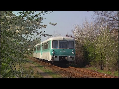 Auf schmaler Spur - Von Rettern und Geretteten