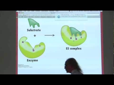 Kevin Ahern's BB 450/550 Classroom Lecture #2 for June 27 - Enzymes II