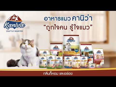 KANIVA - อาหารแมวคานิว่า ถูกใจคน รู้ใจแมว