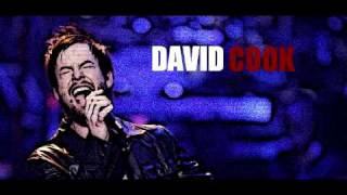 David Cook - Optimistic to a Fault - Full Version