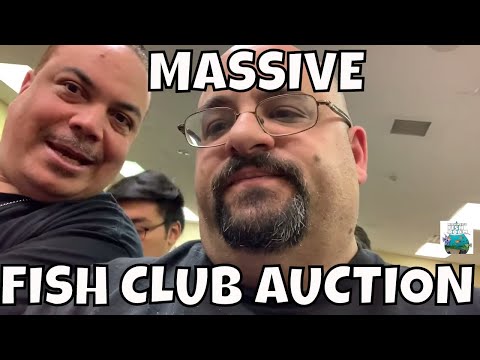 download lagu mp3 mp4 Aquarium Fish Auction, download lagu Aquarium Fish Auction gratis, unduh video klip Aquarium Fish Auction