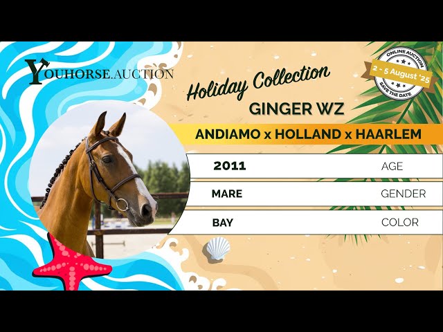 Ginger WZ