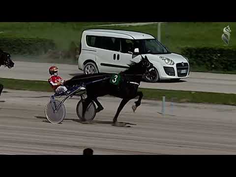 Aversa trotto 25 Marzo 2023 - 1° Corsa