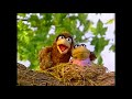 Sesame Street Bird Family Song