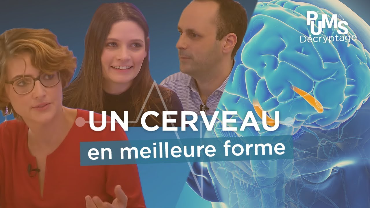 Comment bien protéger son cerveau ?