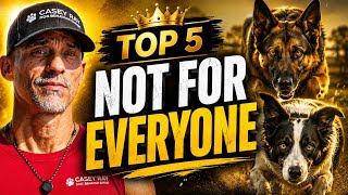 Top 5 Dog Breeds That Are NOT for Everyone