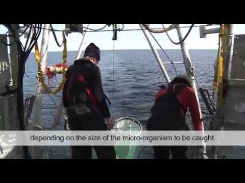 Scientific station for children - Tara Oceans Polar Circle - 24 July 2013