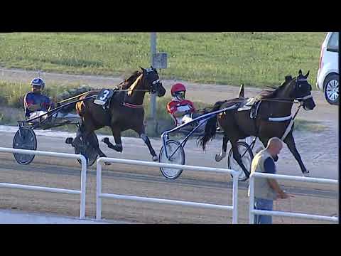 Napoli Trotto 10/09/2023 - 8ª corsa