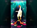 Chicken Dance 🐔😂 (Remix) #rooster #chicken #song