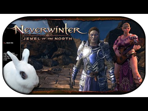 NEVERWINTER: Mit Sang und Klang durch Faerun 🎸 17 - Mine kommt IMMER zuerst!