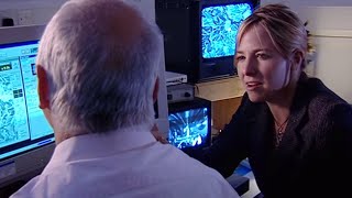 The colour of dinosaurs - How To Build A Dinosaur - BBC