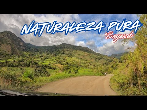 Recorriendo las montañas entre Guacamayas y El Espino, Boyacá. 