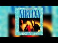 Nirvana Aneurysm