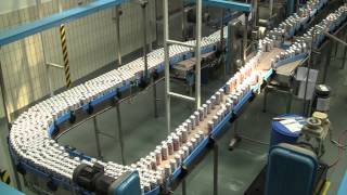 Plener fotograficzny Photoday w Browrze Bosman Szczecin