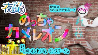 【めっちゃカメレオン】隠れるのが下手すぎるめっちゃカメレオン #3【夜アソ日和】