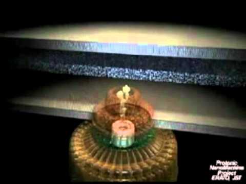 146El flagelo bacteriano