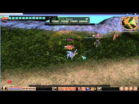 Metin2 European - Record DMG