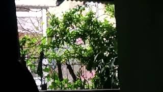 @live#live#ngopi_tibaTibaGerimisGerimisRintikRintikRintik_beberapaDetikDetikDetikDetikDetikDetik✅🌦🌦🌦