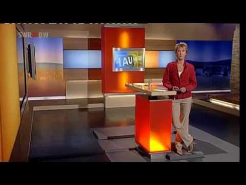 SWR-Bericht Feinstaubbindung Stuttgart